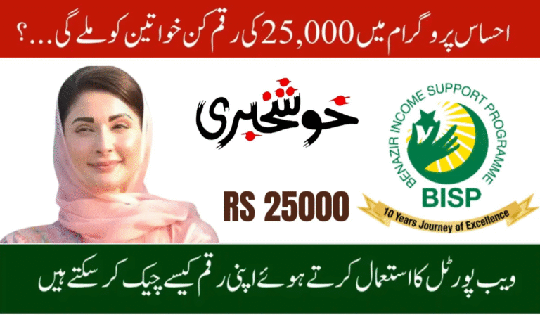 8171 Ehsaas Program CNIC Check Online 2025 – Rs 25000 Aid