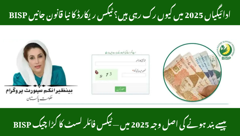 BISP 8171 Payments 2025 Tax Records & Eligibility Explained