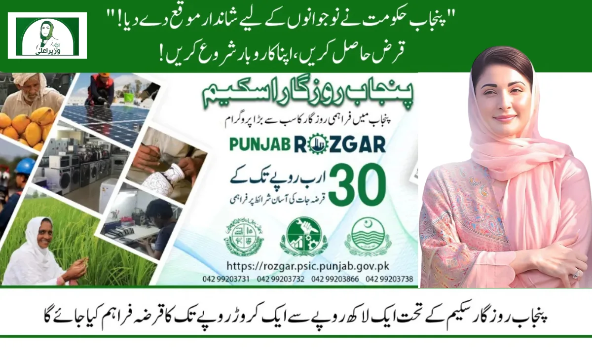 PAVE Subsidy 2025 Price Impact – Inflation & EV Costs Explained