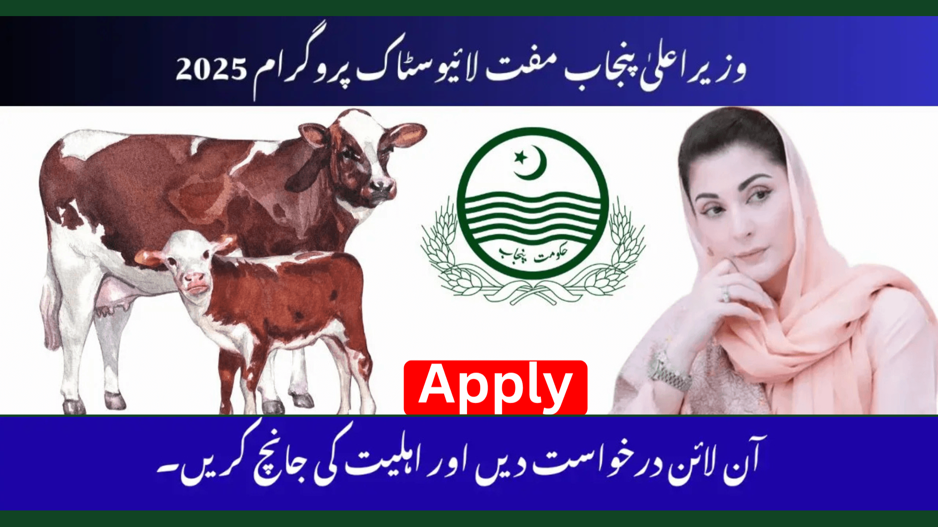 Livestock Card 2025 by Maryam Nawaz – Eligibility & Apply Online