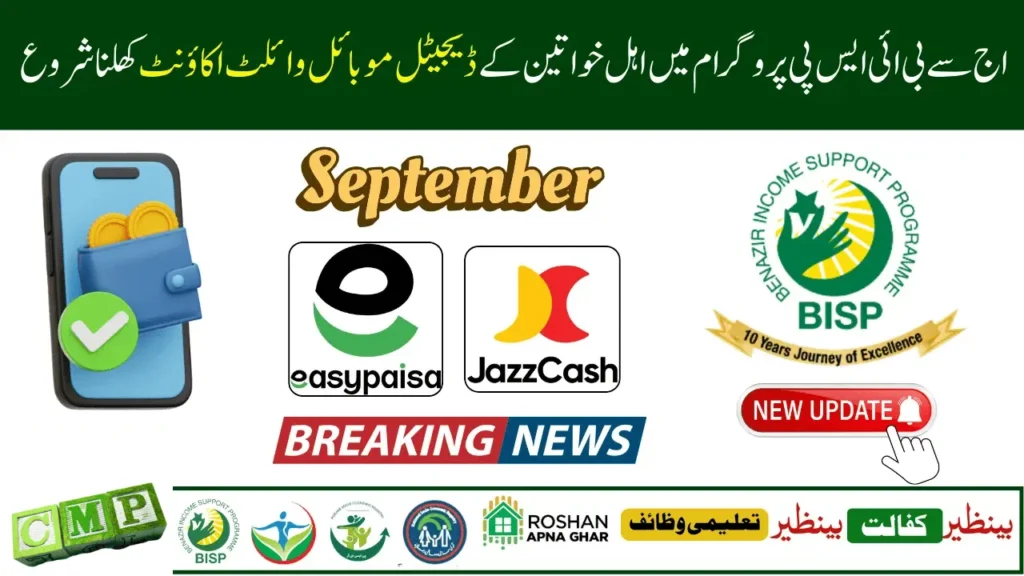 BISP Digital Wallet 2025 – Online Status Check & Rs. 13,500
