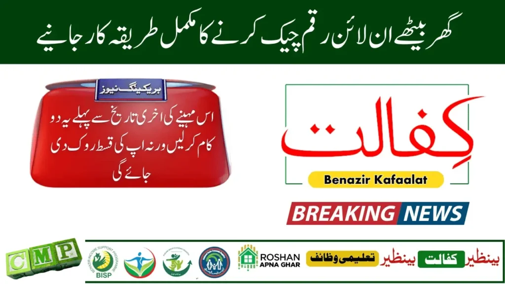 8171 Web Portal 2025 – Check Benazir Kafalat Rs. 13,500 Payment