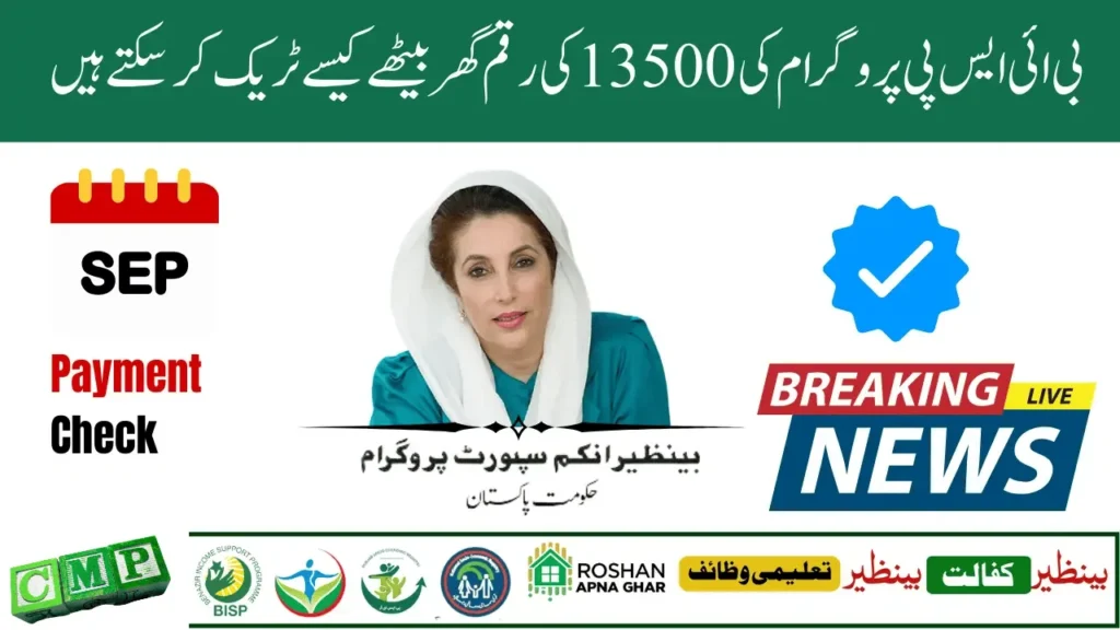 Track BISP 13500 Cash via 8171 – CNIC, Eligibility & Payment Guide
