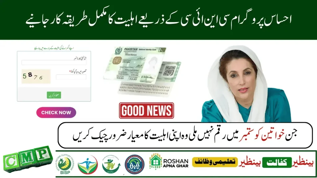 8171 Ehsaas Program CNIC Check – Eligibility & Payment Status